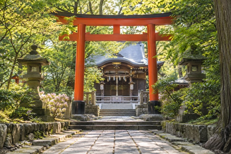 緑に囲まれた架空の神社の鳥居と参道（AI生成イメージ）