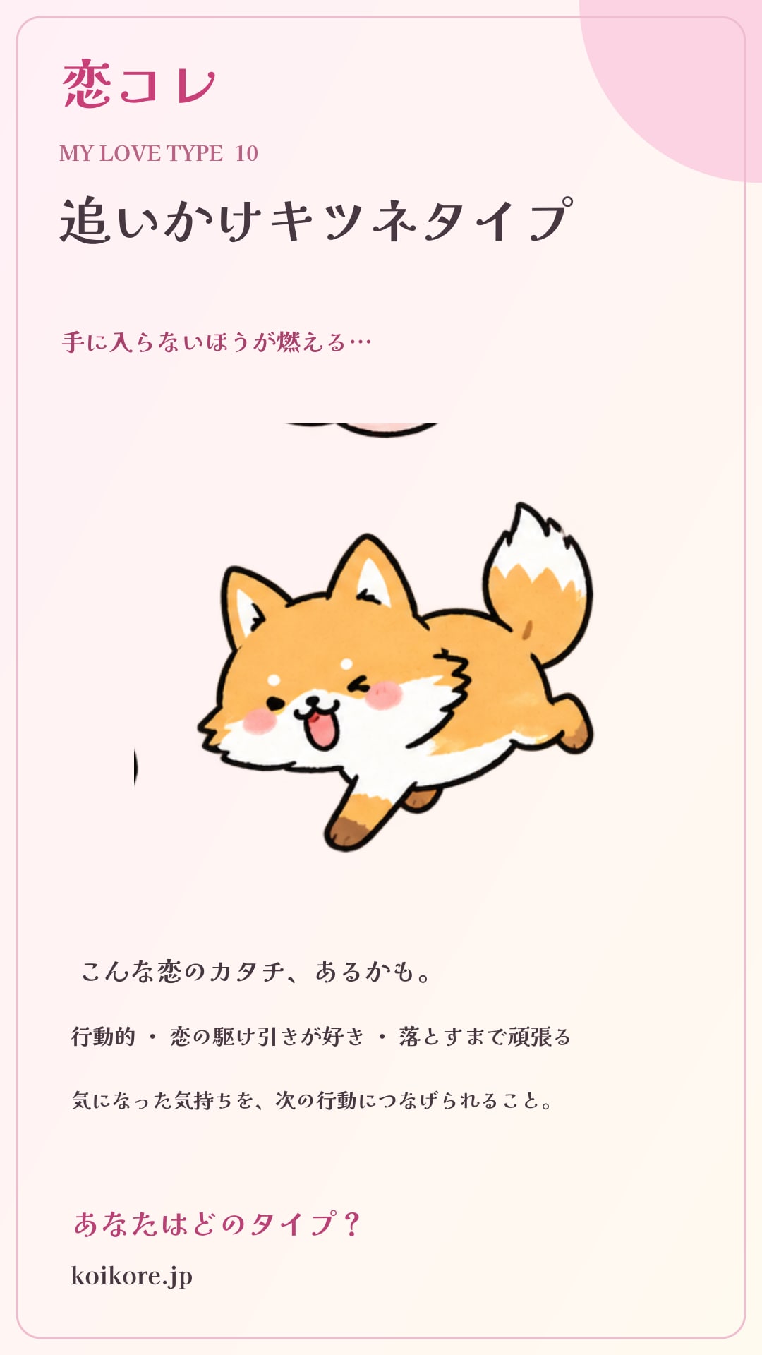 追いかけキツネタイプのInstagram共有画像